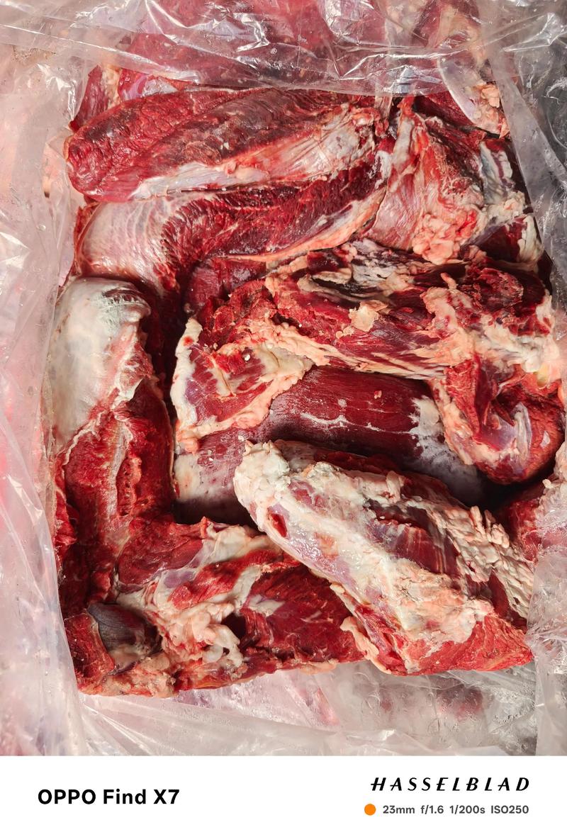 冷冻食材的市场动态与选择指南